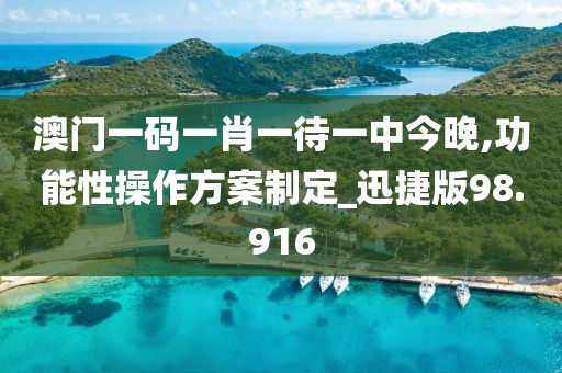 澳门一码一肖一待一中今晚,功能性操作方案制定_迅捷版98.916