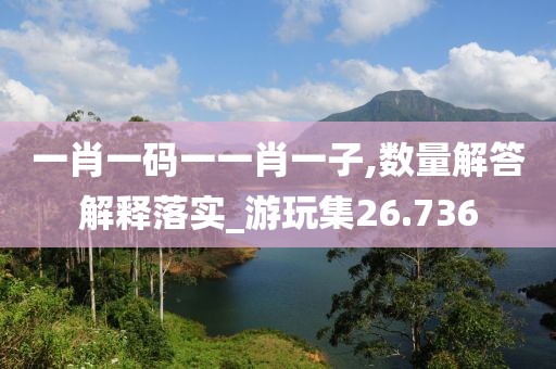 一肖一码一一肖一子,数量解答解释落实_游玩集26.736