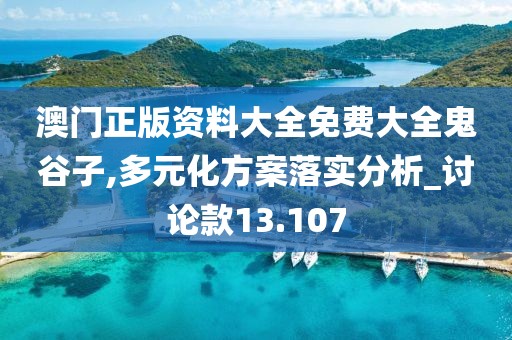 澳门正版资料大全免费大全鬼谷子,多元化方案落实分析_讨论款13.107