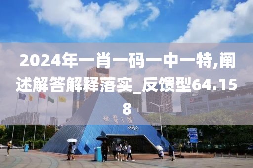 2024年一肖一码一中一特,阐述解答解释落实_反馈型64.158