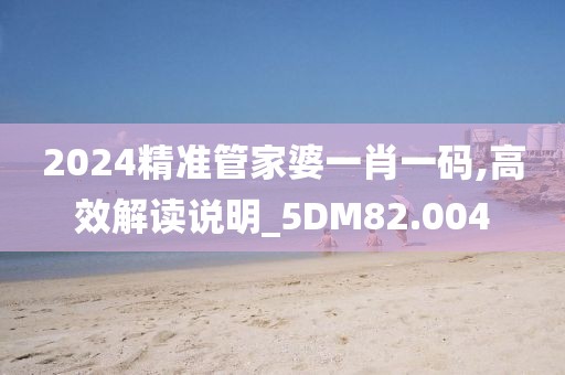 2024精准管家婆一肖一码,高效解读说明_5DM82.004