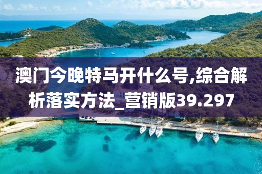 澳门今晚特马开什么号,综合解析落实方法_营销版39.297