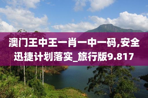 澳门王中王一肖一中一码,安全迅捷计划落实_旅行版9.817