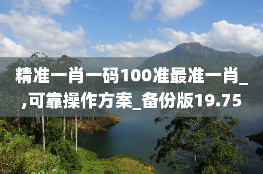 精准一肖一码100准最准一肖_,可靠操作方案_备份版19.75