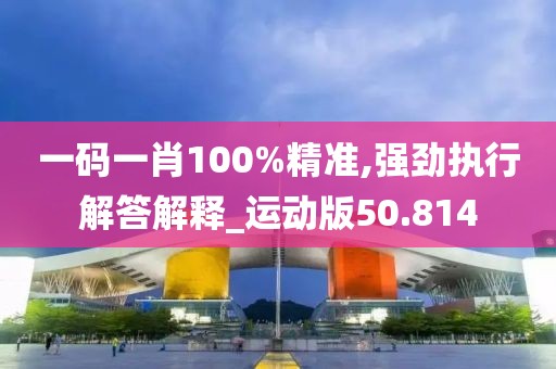 一码一肖100%精准,强劲执行解答解释_运动版50.814