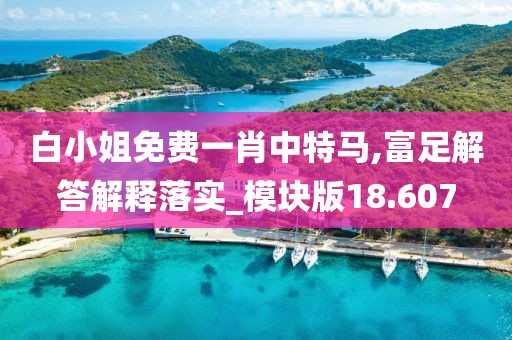 白小姐免费一肖中特马,富足解答解释落实_模块版18.607