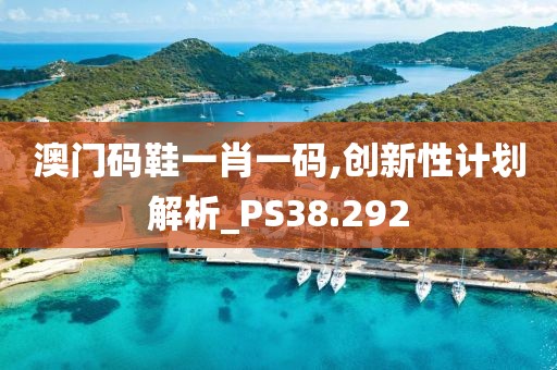 澳门码鞋一肖一码,创新性计划解析_PS38.292