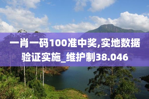 一肖一码100准中奖,实地数据验证实施_维护制38.046