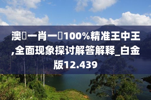 澳門一肖一碼100%精准王中王,全面现象探讨解答解释_白金版12.439