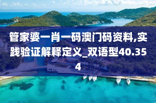 管家婆一肖一码澳门码资料,实践验证解释定义_双语型40.354