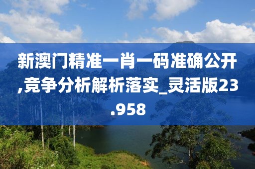新澳门精准一肖一码准确公开,竞争分析解析落实_灵活版23.958