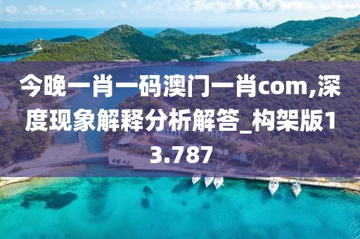 今晚一肖一码澳门一肖com,深度现象解释分析解答_构架版13.787