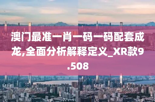 澳门最准一肖一码一码配套成龙,全面分析解释定义_XR款9.508