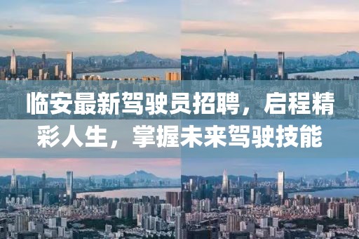 临安最新驾驶员招聘，启程精彩人生，掌握未来驾驶技能