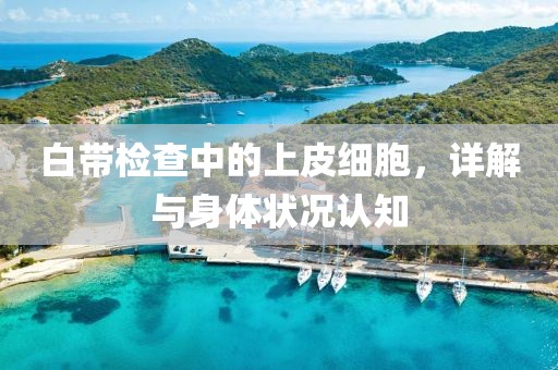 梦想天空分外蓝 第141页