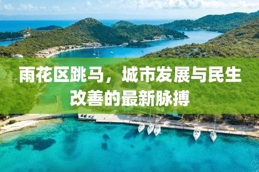 雨花区跳马，城市发展与民生改善的最新脉搏