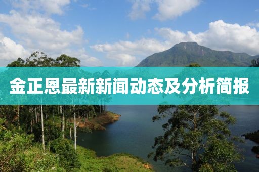 金正恩最新新闻动态及分析简报