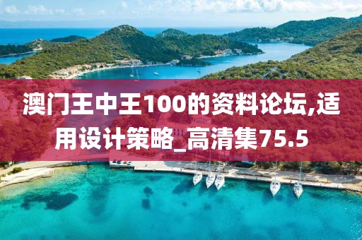 澳门王中王100的资料论坛,适用设计策略_高清集75.5