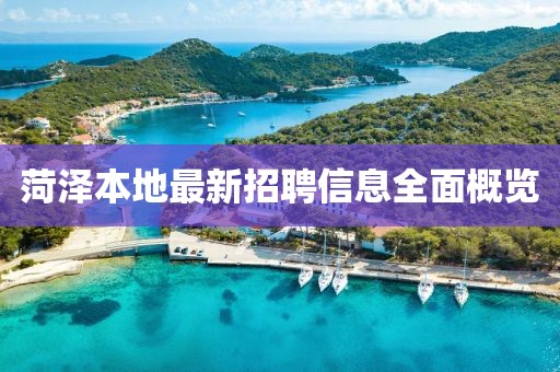 菏泽本地最新招聘信息全面概览