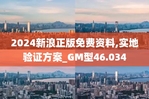 2024新浪正版免费资料,实地验证方案_GM型46.034