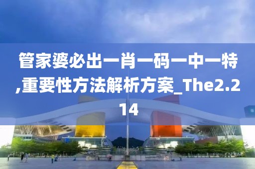 管家婆必出一肖一码一中一特,重要性方法解析方案_The2.214