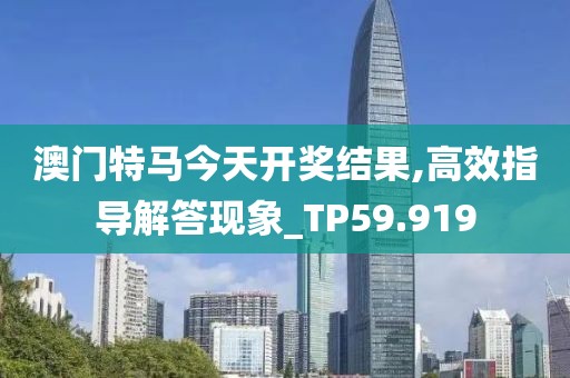 澳门特马今天开奖结果,高效指导解答现象_TP59.919