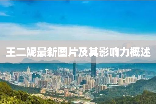 王二妮最新图片及其影响力概述