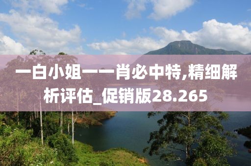 一白小姐一一肖必中特,精细解析评估_促销版28.265