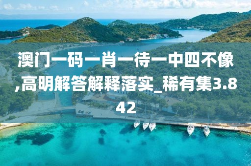 澳门一码一肖一待一中四不像,高明解答解释落实_稀有集3.842