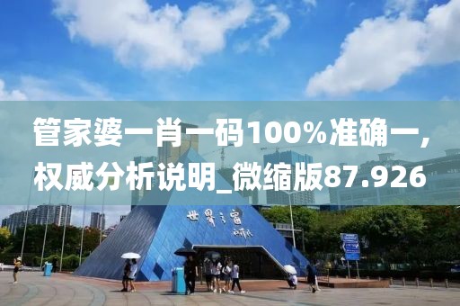 管家婆一肖一码100%准确一,权威分析说明_微缩版87.926