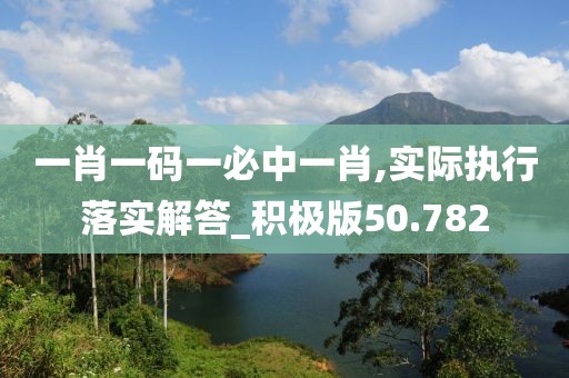 一肖一码一必中一肖,实际执行落实解答_积极版50.782