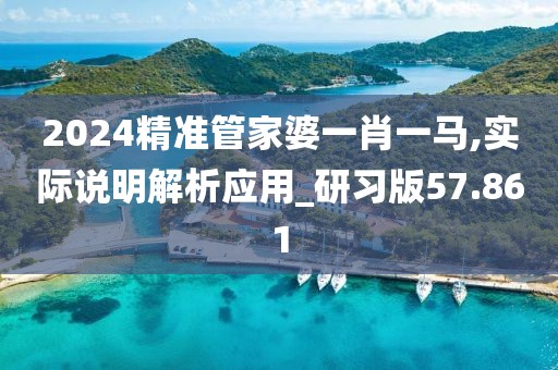 2024精准管家婆一肖一马,实际说明解析应用_研习版57.861