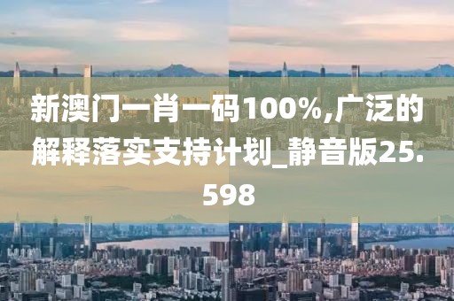 新澳门一肖一码100%,广泛的解释落实支持计划_静音版25.598
