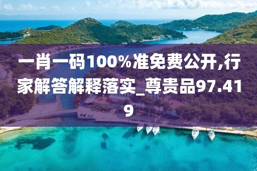 一肖一码100%准免费公开,行家解答解释落实_尊贵品97.419