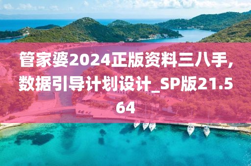 管家婆2024正版资料三八手,数据引导计划设计_SP版21.564