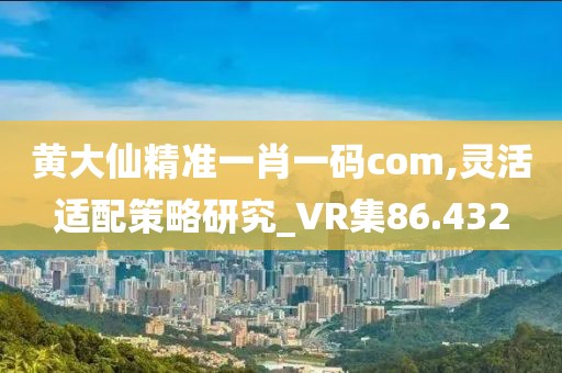 黄大仙精准一肖一码com,灵活适配策略研究_VR集86.432