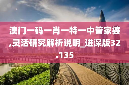 澳门一码一肖一特一中管家婆,灵活研究解析说明_进深版32.135