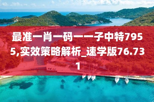 最准一肖一码一一子中特7955,实效策略解析_速学版76.731