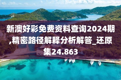 新澳好彩免费资料查询2024期,精密路径解释分析解答_还原集24.863