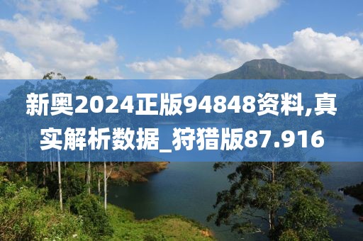 新奥2024正版94848资料,真实解析数据_狩猎版87.916