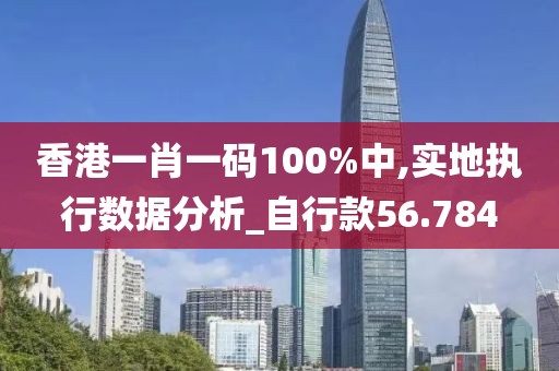 香港一肖一码100%中,实地执行数据分析_自行款56.784