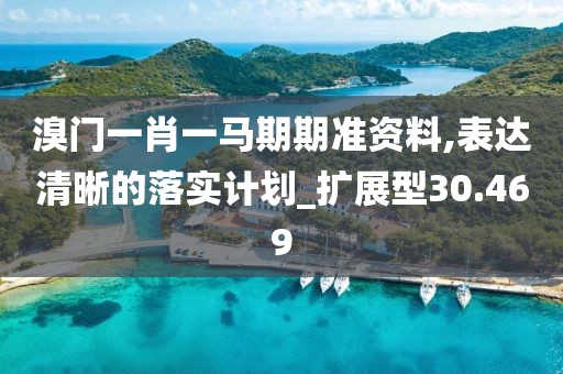 溴门一肖一马期期准资料,表达清晰的落实计划_扩展型30.469