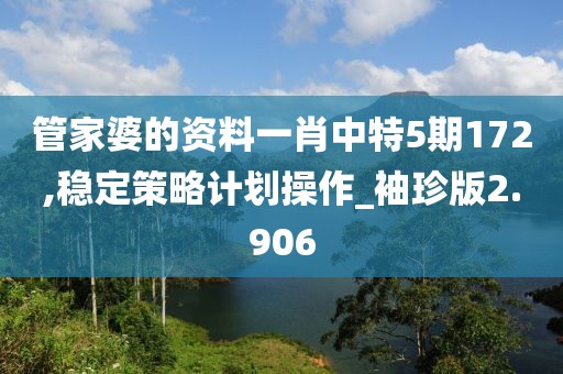 管家婆的资料一肖中特5期172,稳定策略计划操作_袖珍版2.906