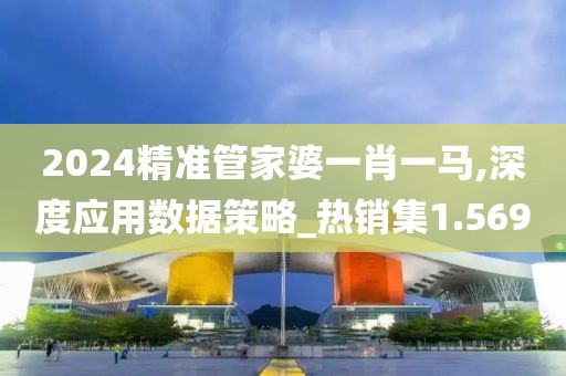 2024精准管家婆一肖一马,深度应用数据策略_热销集1.569