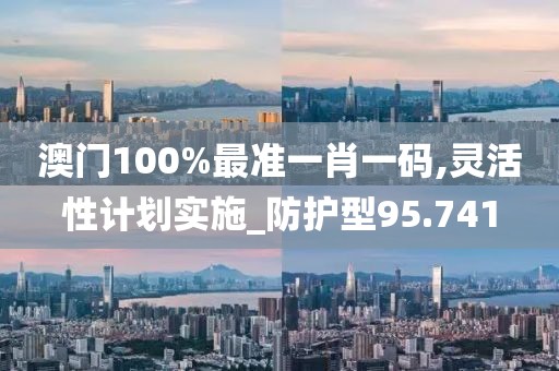 澳门100%最准一肖一码,灵活性计划实施_防护型95.741