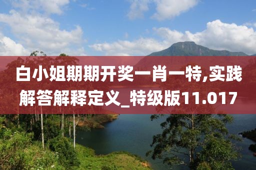 白小姐期期开奖一肖一特,实践解答解释定义_特级版11.017