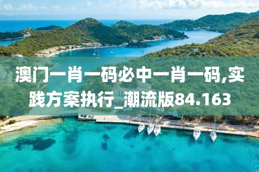 澳门一肖一码必中一肖一码,实践方案执行_潮流版84.163
