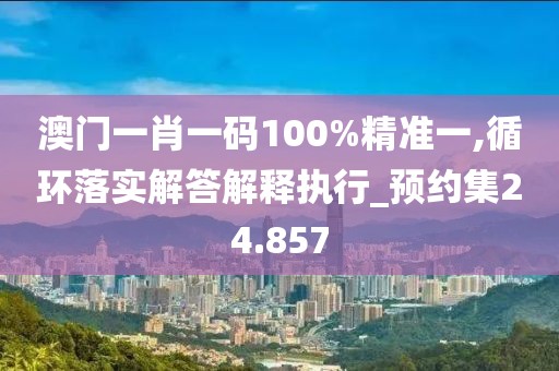 澳门一肖一码100%精准一,循环落实解答解释执行_预约集24.857