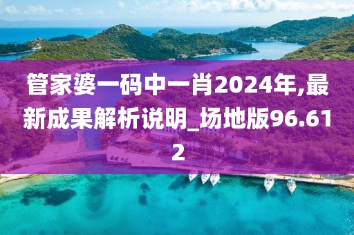 管家婆一码中一肖2024年,最新成果解析说明_场地版96.612
