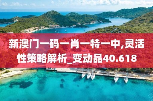新澳门一码一肖一特一中,灵活性策略解析_变动品40.618